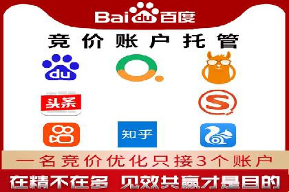 百度竞价广告投放策略：案例分析及效果评估